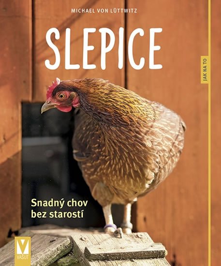 slepice chov